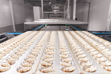 Process food industry production. French croissants from puff pastry dough pieces on automatically line conveyor