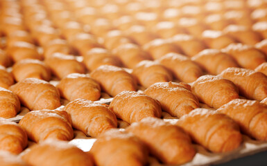 Closeup set Fresh crispy french croissants. Concept traditional Bakery industry