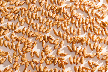 Closeup peanut shape biscuit production on conveyor belt, Food industry factory. Modern line for bakery cookies