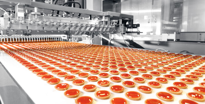 Food industry, biscuit production in factory on conveyor belt. Modern line for bakery cookies