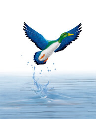 illustration d'un canard bleu qui vol d'une lac limpide