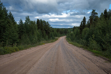 a dirt road into the forest going into the distance.