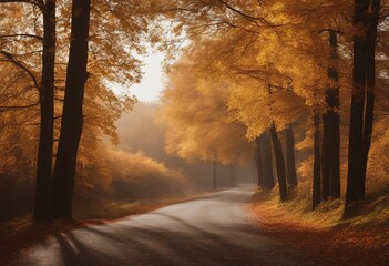 Naklejka na ściany i meble Autumn landscape with trees and road