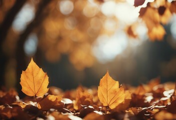 Falling autumn leaves background