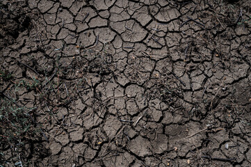 The black surface of dry earth