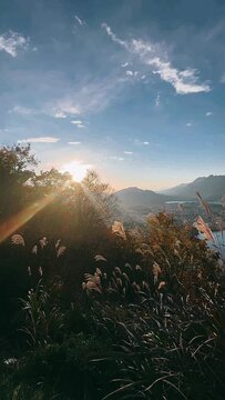 sunset in the mountains,grass, nature, field, plant, wheat, summer, sky, yellow, wind, agriculture, autumn, grain, green, landscape, crop, meadow, rural, plants, dry, farm, flora, sunset, cereal, natu