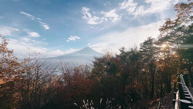 sunset in the forest,mt fuji, japan, mountain, travel, mt fuji japan mountain, snow, fall time, mt fuji in japan, walking, woman, park, nature, walk, people, winter, road, path, tree, autumn, forest, 