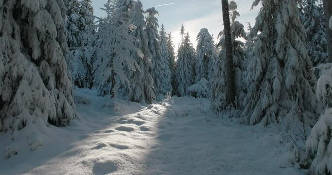 Aerial: Drone Forward Shot Of Person Walking In Tranquil Frozen Forest Against Sky - Oberhof, Germany