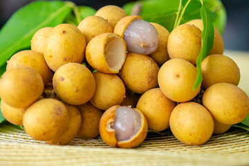 Ripe Pitomba fruits (talisia esculenta), an exotic fruit from the Brazilian tropical forest and bioma cerrado. Ripens in the months of November and December