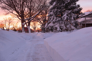 Cleaned and plowed sidewalk by the road with large snowbanks on a residential street completely...