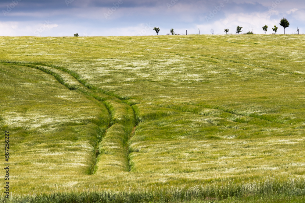 Poster field in wind with clouds on background
