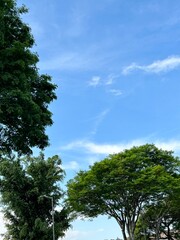 Obraz premium sky and clouds