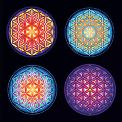 Four variants of the Flower of Life sign. Multicolored flower of life