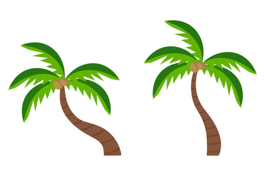 Two tropical trees. Palm trees in flat style
