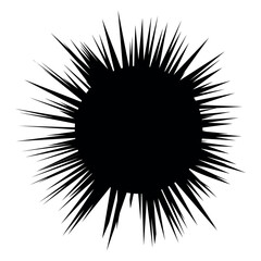 Sea urchin silhouette. Image of a black sphere with long spikes.