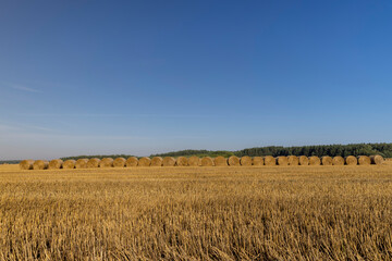 stacks of wheat straw in the field after harvest