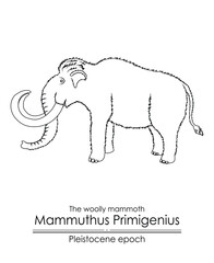 The woolly mammoth Mammuthus Primigenius from Pleistocene epoch.  Black and white line art, perfect for coloring and educational purposes.