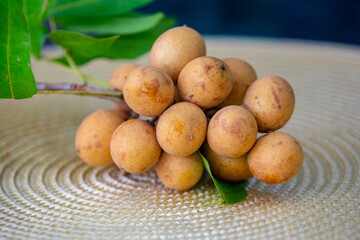 Ripe Pitomba fruits (talisia esculenta), an exotic fruit from the Brazilian tropical forest and bioma cerrado. Ripens in the months of November and December