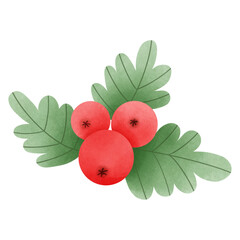 branch of red currant