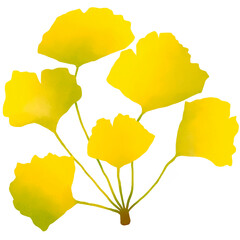 Ginkgo 4