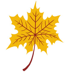 autumn maple leaf 1