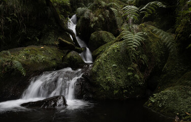 Small waterfall dropping down via mossy rocks.