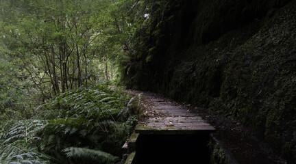 Walkway over a Levada in Madeira.