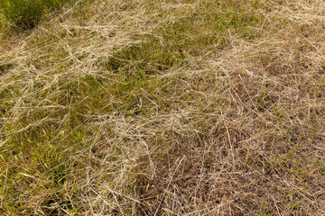 drying of mown grass for feeding animals on the farm