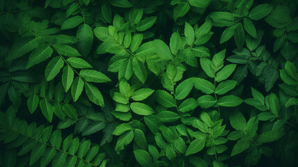 Green leaves pattern background