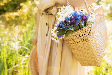 Woman holds camomile and cornflowers in a straw bag and a summer straw hat. Beautiful summer...