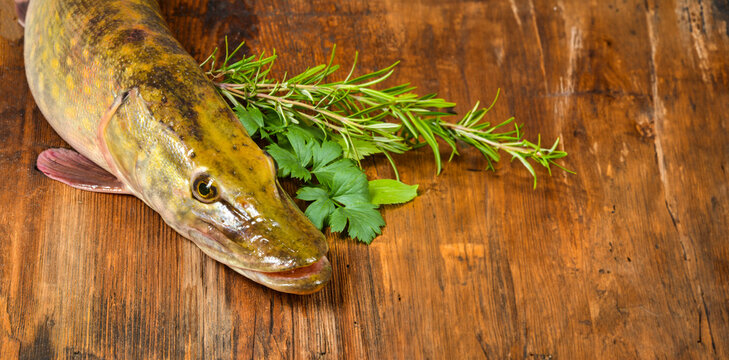 Freshwater Pike Fish and Tape-measure on Wooden Background. Stock Photo -  Image of sport, leisure: 115867316