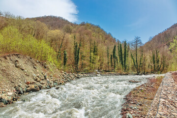 Spring landscape of rocky shore of the Mzymta River - 687263417