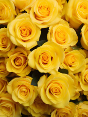 Floral background with yellow roses, top view	