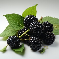 Blackberry with leaves. White Background