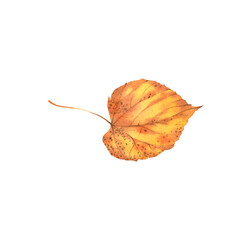 Naklejka premium Golden linden leaf. Watercolor illustration, poster.