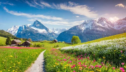 Washable wall murals Alps idyllic mountain landscape in the alps with blooming meadows in springtime