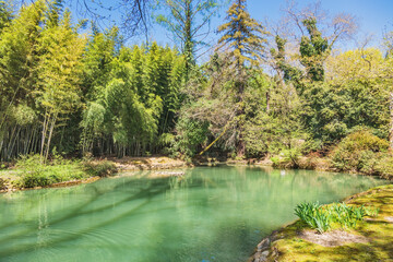 Embankment along shore of exotic pond in Arboretum - 687269094