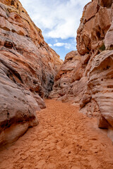 Canyon Path Through Red Rocks