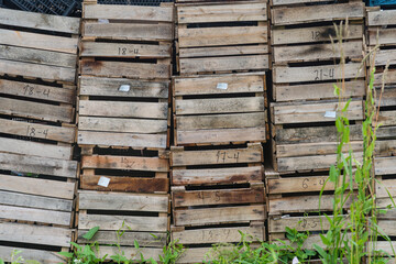 old wooden boxes stacked in stacks lie on the grass. natural light