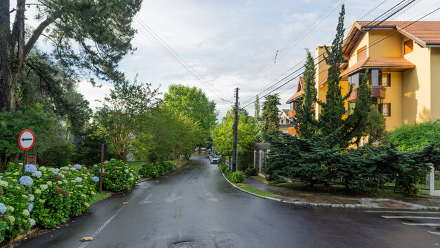 Rua tranquila com &aacute;rvores e casas elegantes em bairro nobre da cidade de Gramado, Rio Grande do Sul