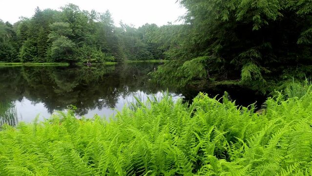 Cherry Plain 147 Secret Pond