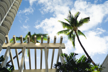 Tropical Island Vacation with Palm Trees and Blue Skies