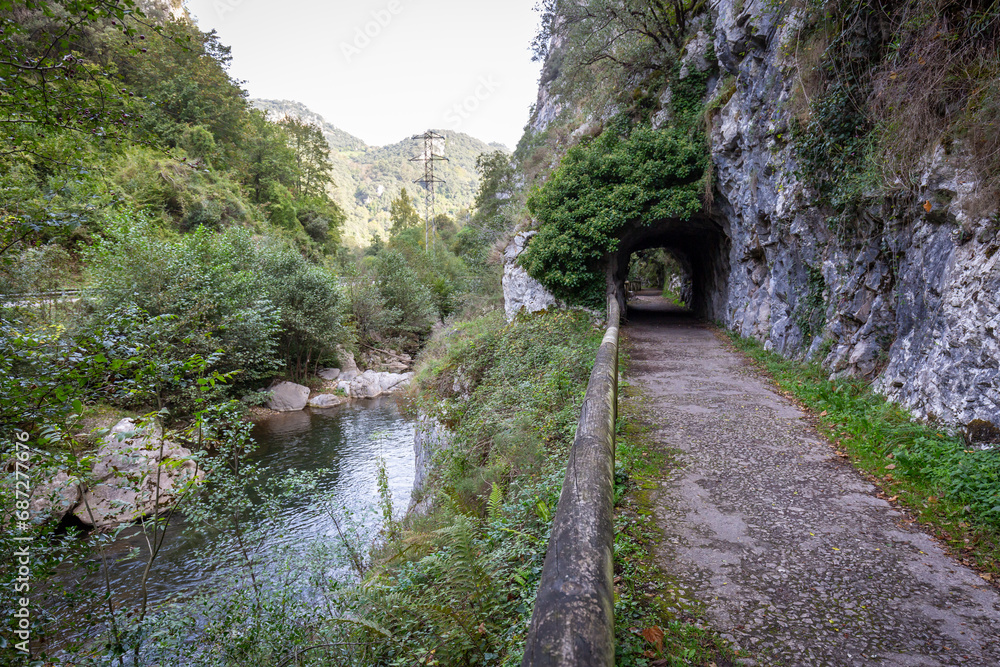 Wall mural Senda del Oso (Bear Trail) - green way Entragu/Proaza, Asturias, Spain