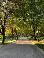 Empty road