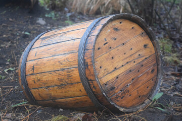 Wine or cognac barrels in the cellar of the winery, Wooden wine barrels in perspective. wine vaults. vintage oak barrels of craft beer