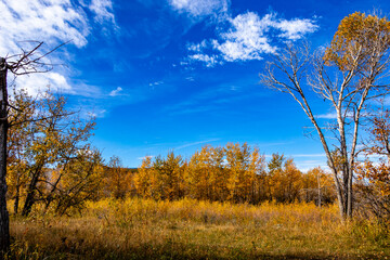 Fototapeta premium Woolford Provincial Park Cardston County Alberta Canada