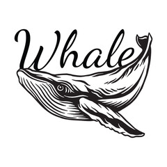 Whale vector art illustration