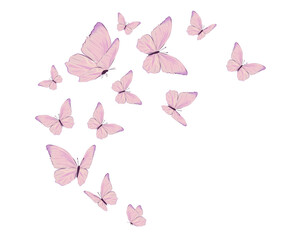 watercolor flock butterfly vector 
