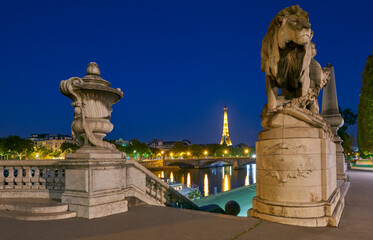 Fototapeta na wymiar Alexander III bridge at night, Paris