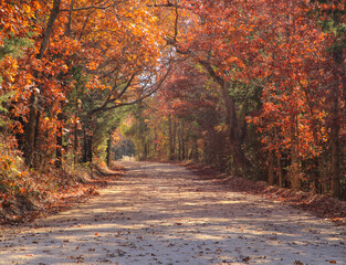 Old gravel road just outside of Mammoth Spring, surrounded by beautiful fall colors